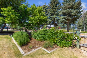  Photo 34
