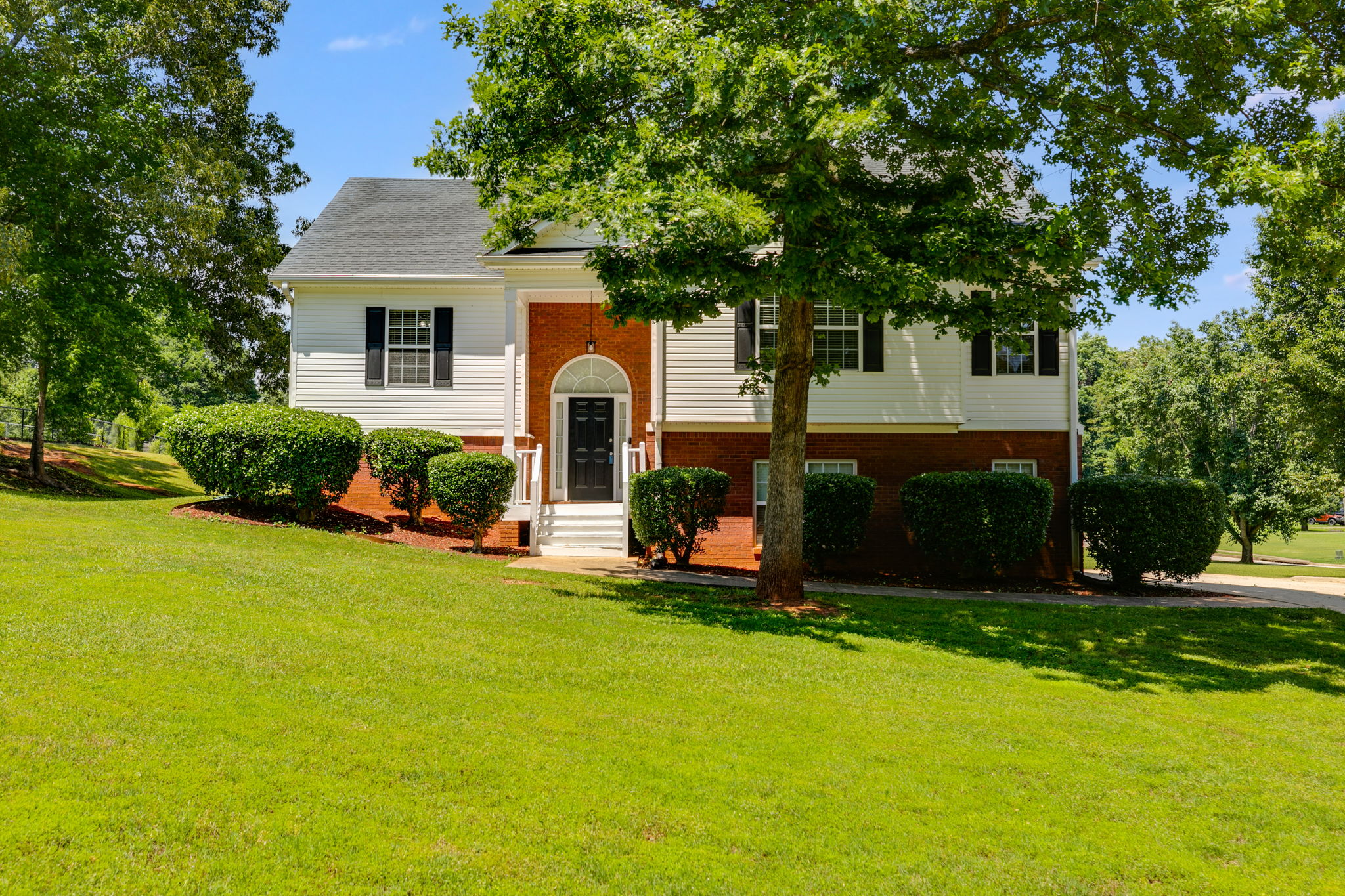 mppmedia5077fieldviewdr02