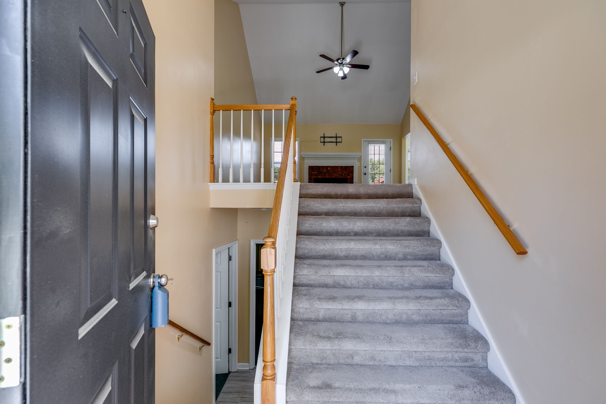 mppmedia5077fieldviewdr06