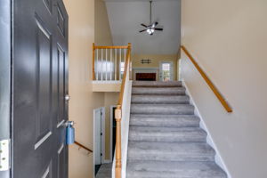 mppmedia5077fieldviewdr06