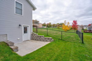  Photo 41