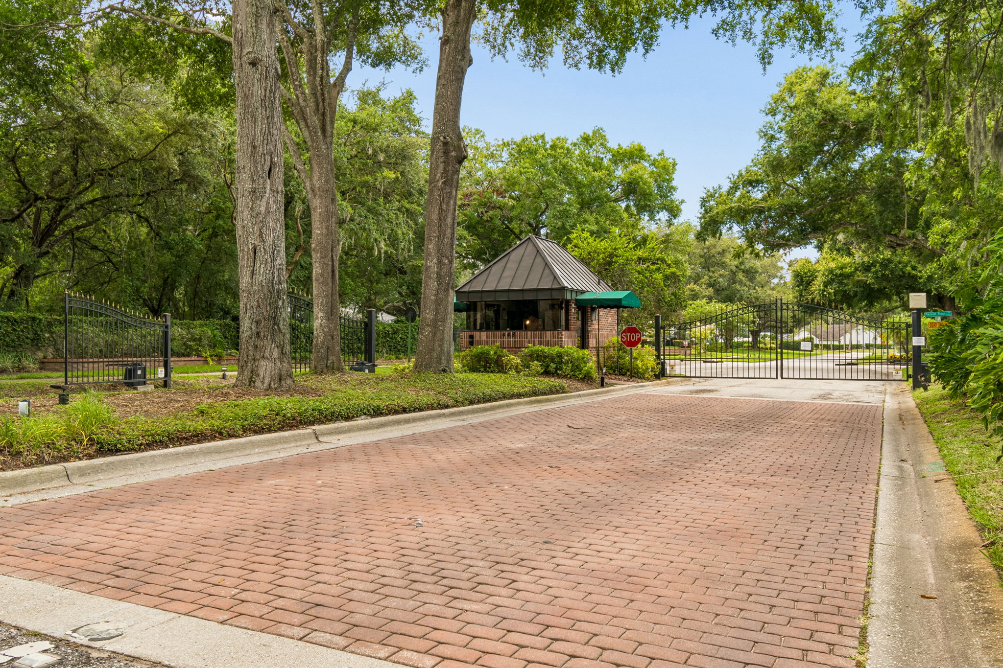 DSC_4554