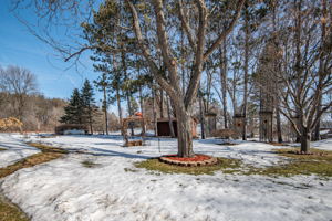 50855 Almond Ave, Stanchfield, MN 55080, USA Photo 19