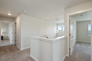 5086 Thunderhead Dr, Timnath, CO 80547, USA Photo 13