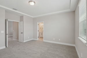Orlando - Silverleaf Reserve - 5087 Railroad Vine Alley Winter Garden FL 34787 - 022