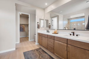 Primary Bathroom (3)