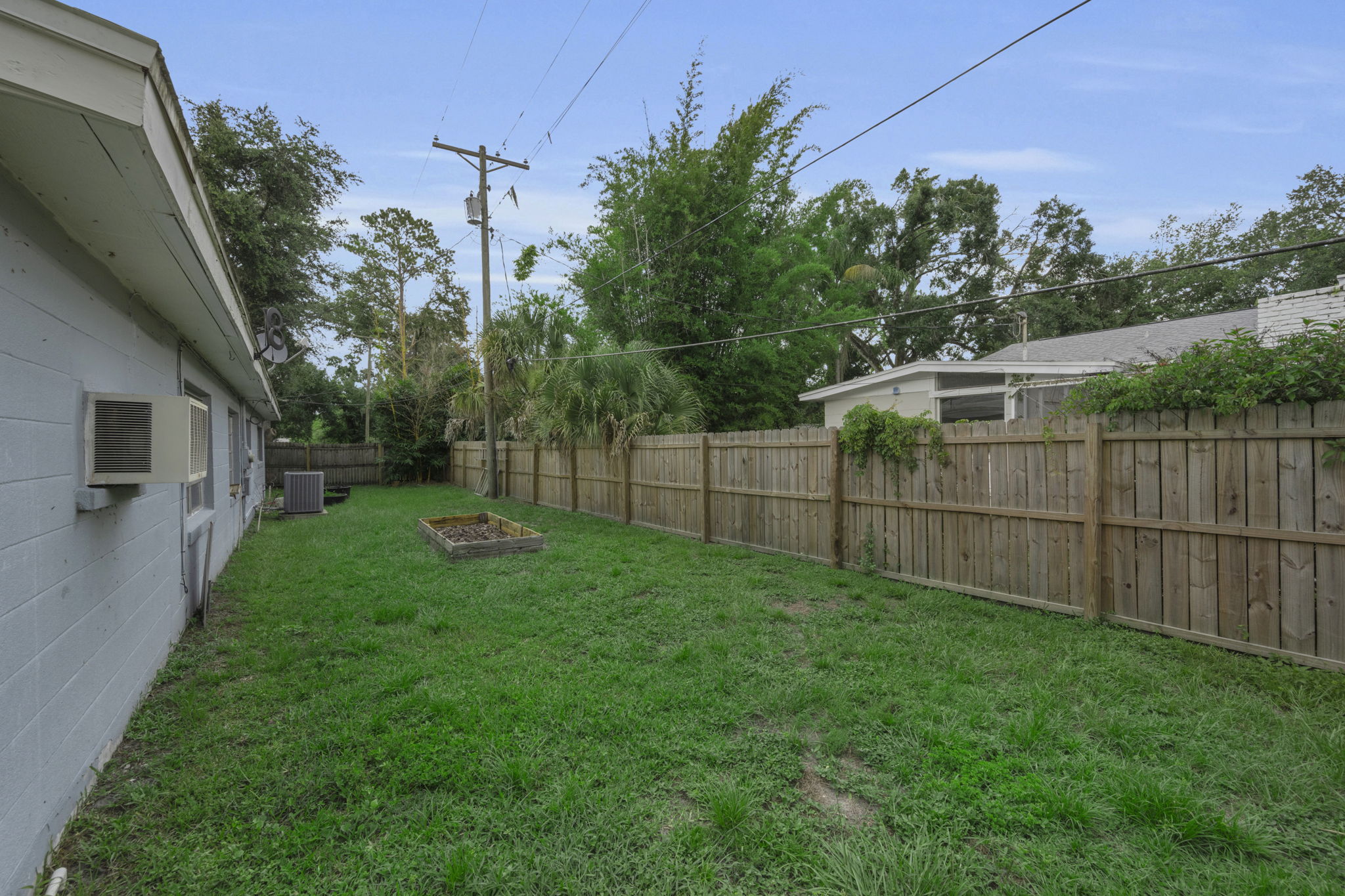 Backyard 5