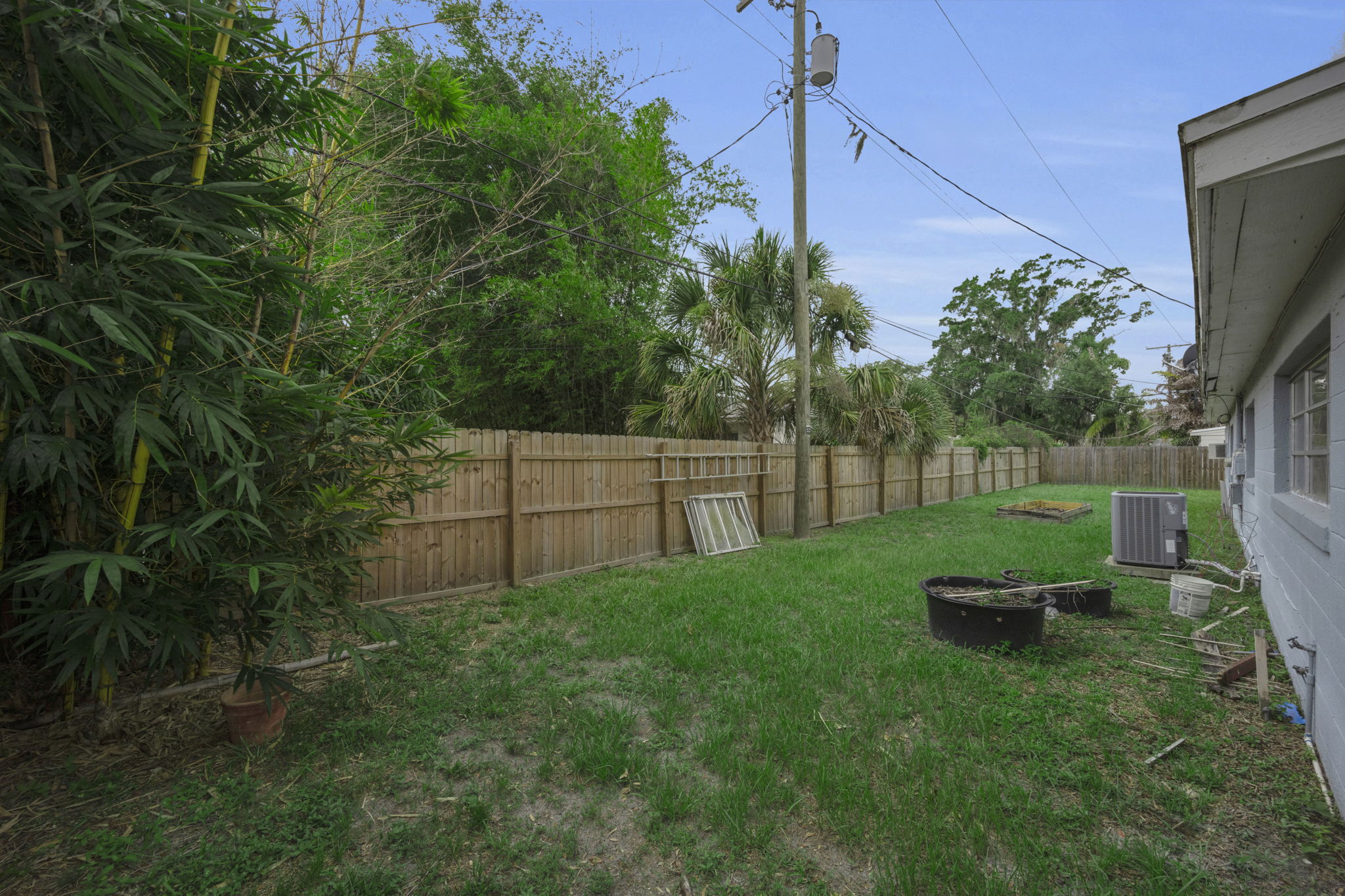Backyard 1