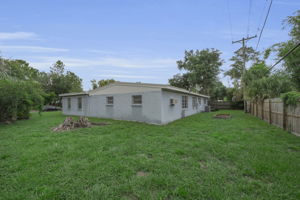 Backyard 4