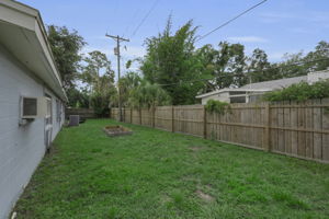 Backyard 5