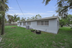 Backyard 2