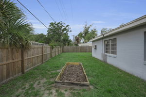 Backyard 3