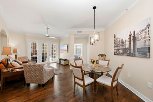 Living Room / Dining Room Open Concept