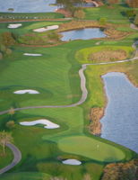 Award-Winning Celebration Golf Club - Public Course