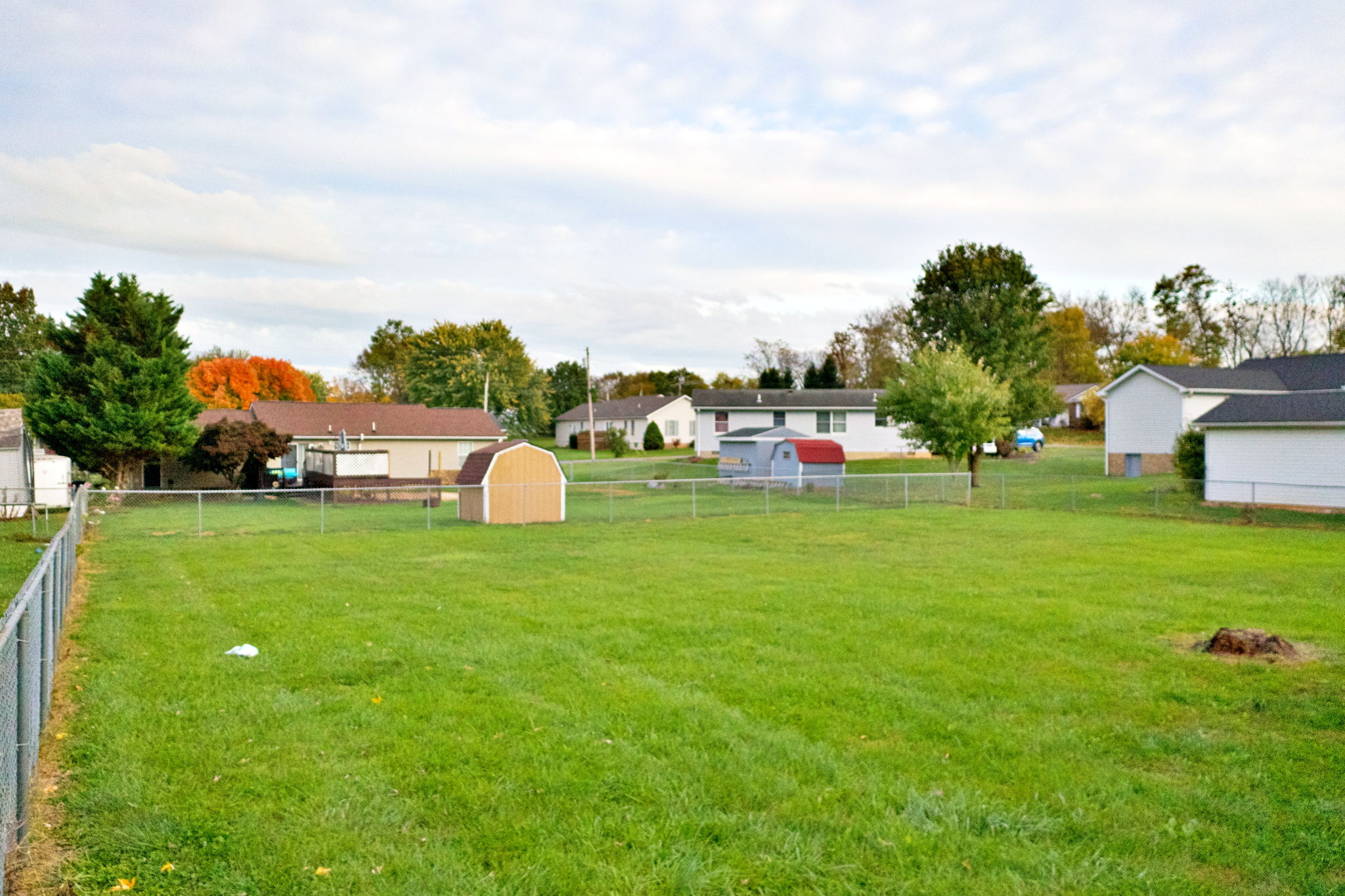 BACKYARD2