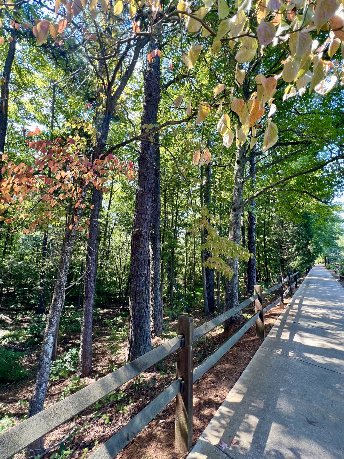 Walking Trails Galore!