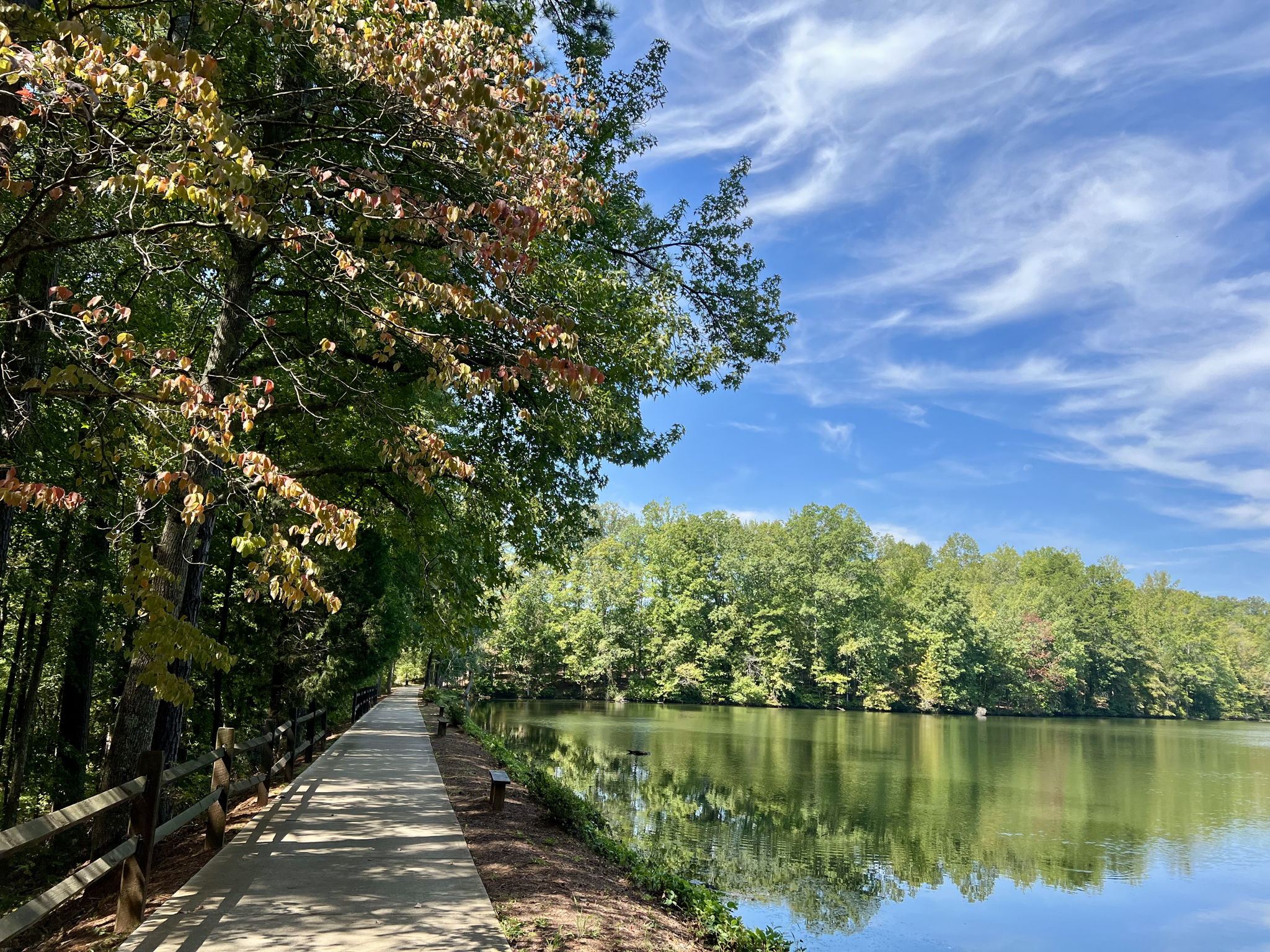 Walking trail around lake