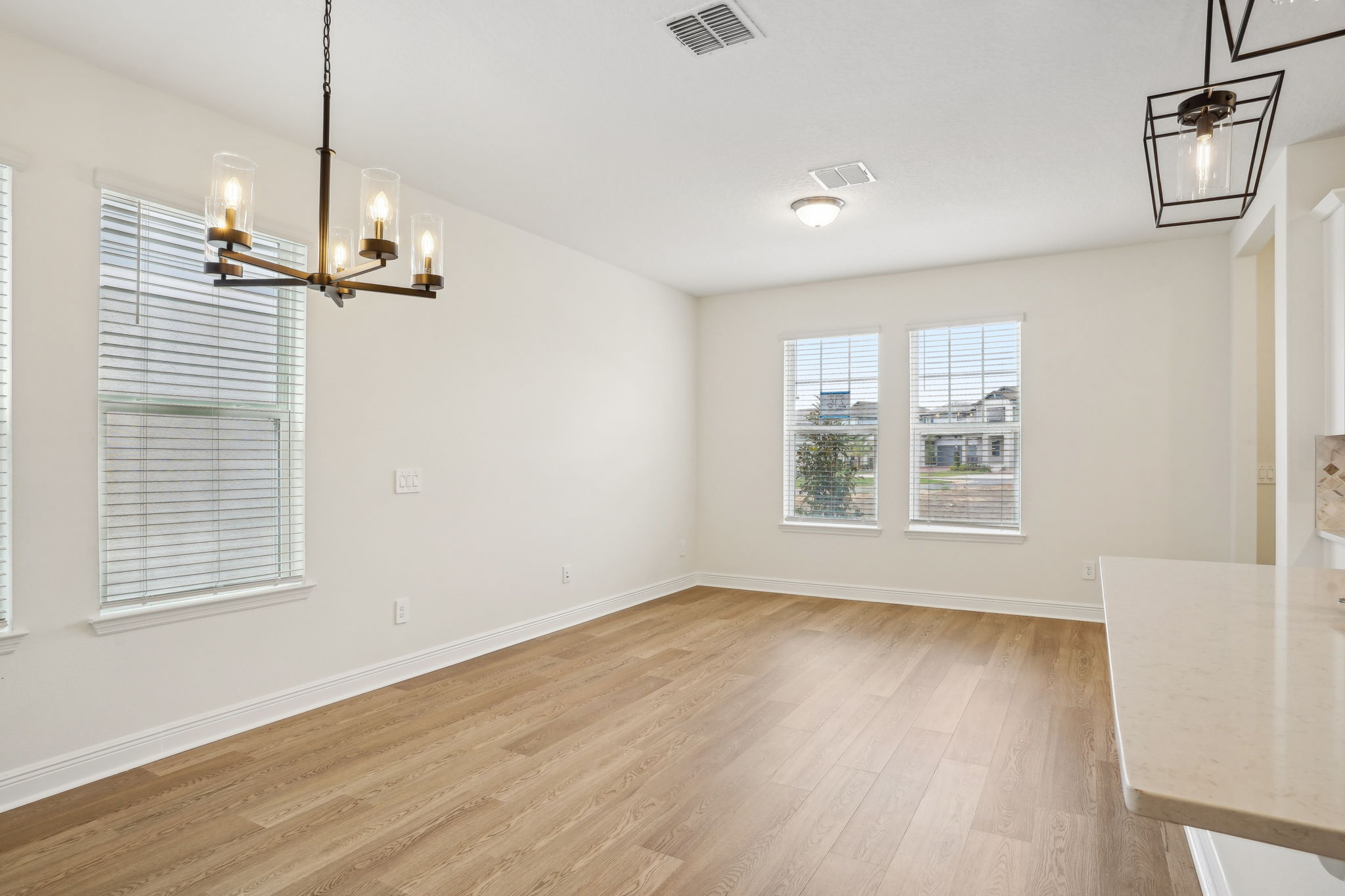 Orlando - Silverleaf Reserve - 5099 Railroad Vine Alley Winter Garden FL 34787 - 008