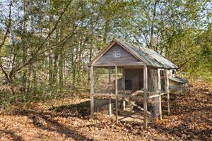  Photo 41