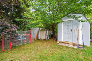  Photo 49