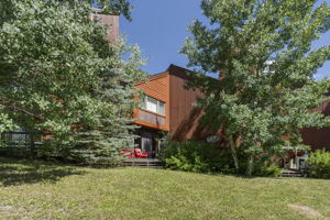  Photo 0