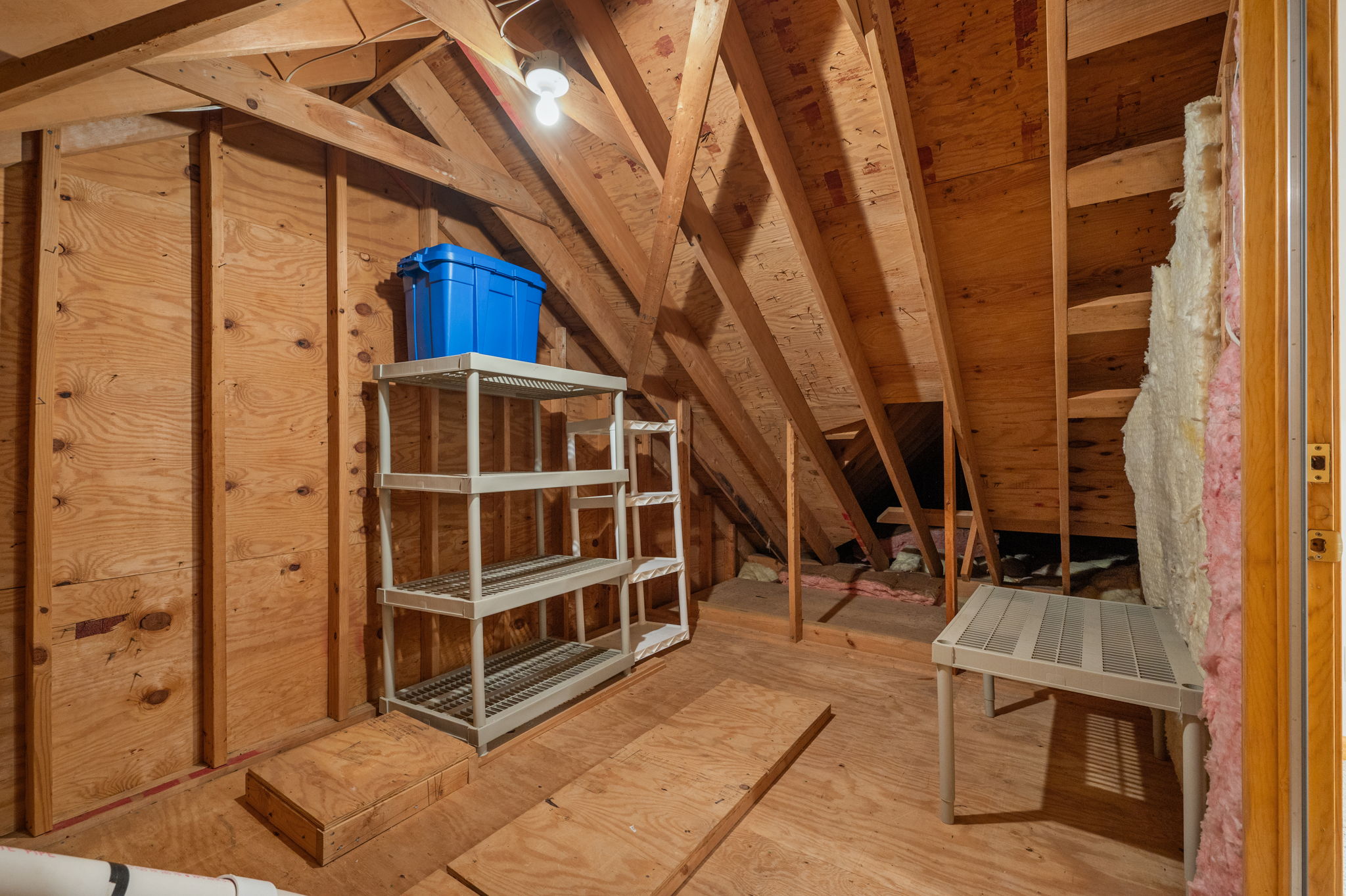 51-Hickory-Trail-Attic-Storage