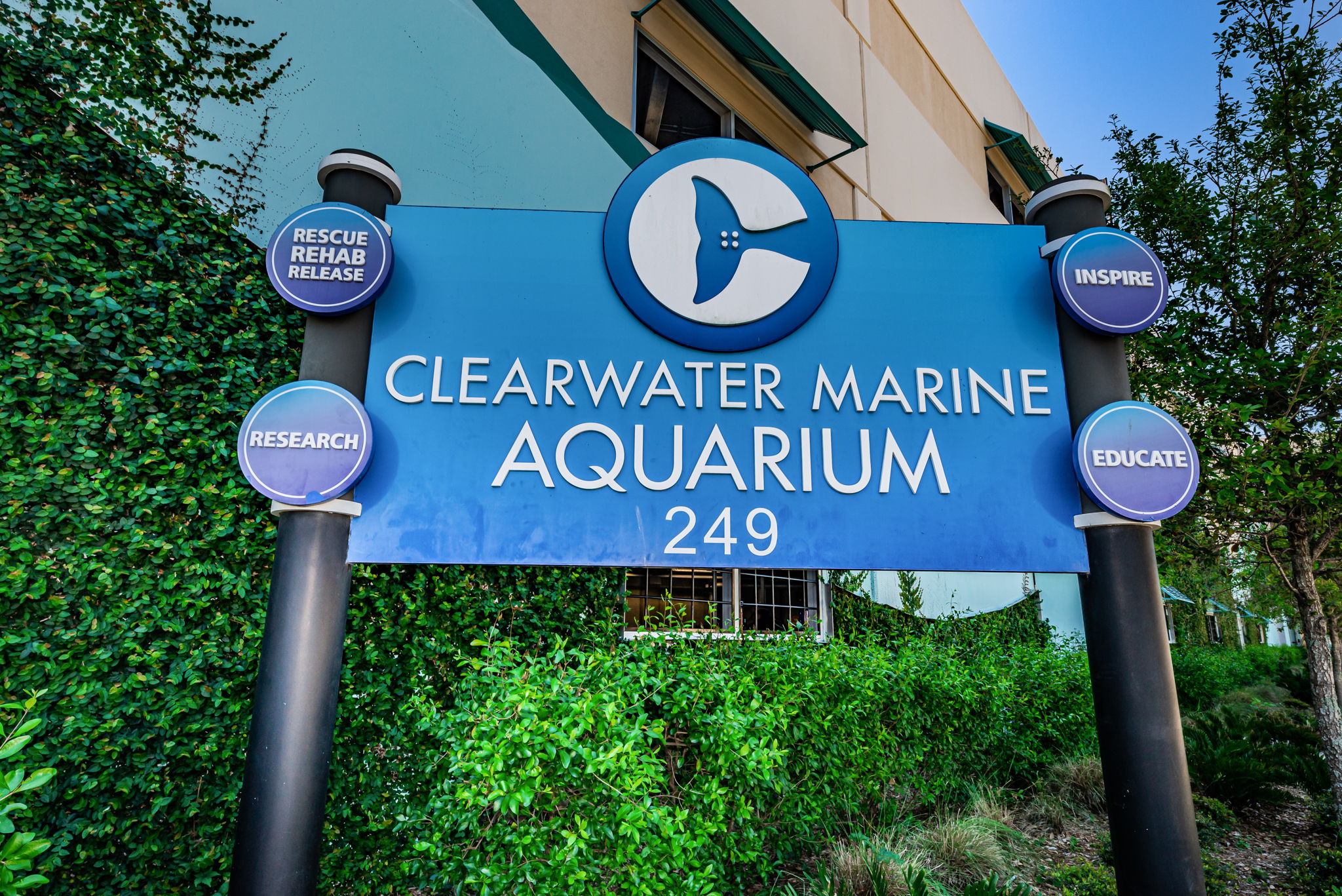 9-Clearwater Marine Aquarium