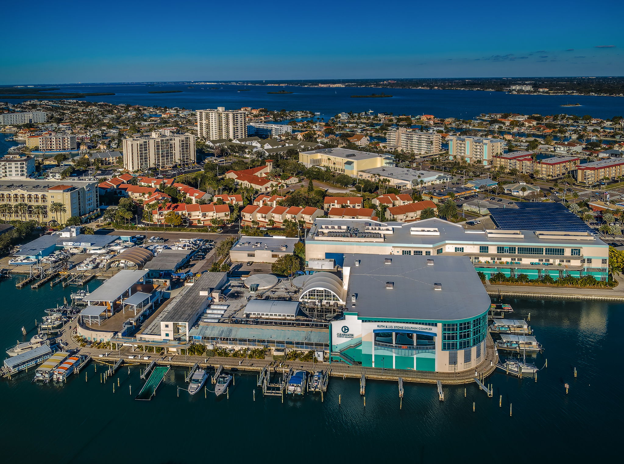 11-Clearwater Marine Aquarium