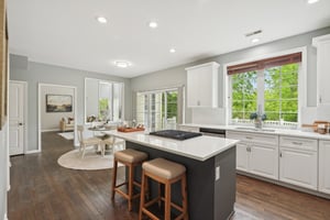 Knickerbocker Ln-2805-018.jpg