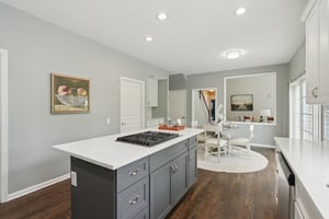 Knickerbocker Ln-2805-019.jpg