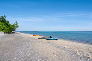  Photo 47