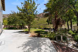  Photo 46