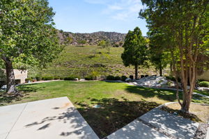  Photo 47