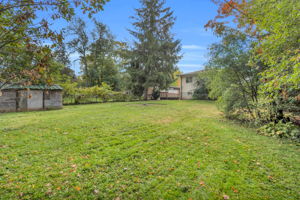  Photo 50