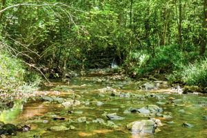 Creek on property