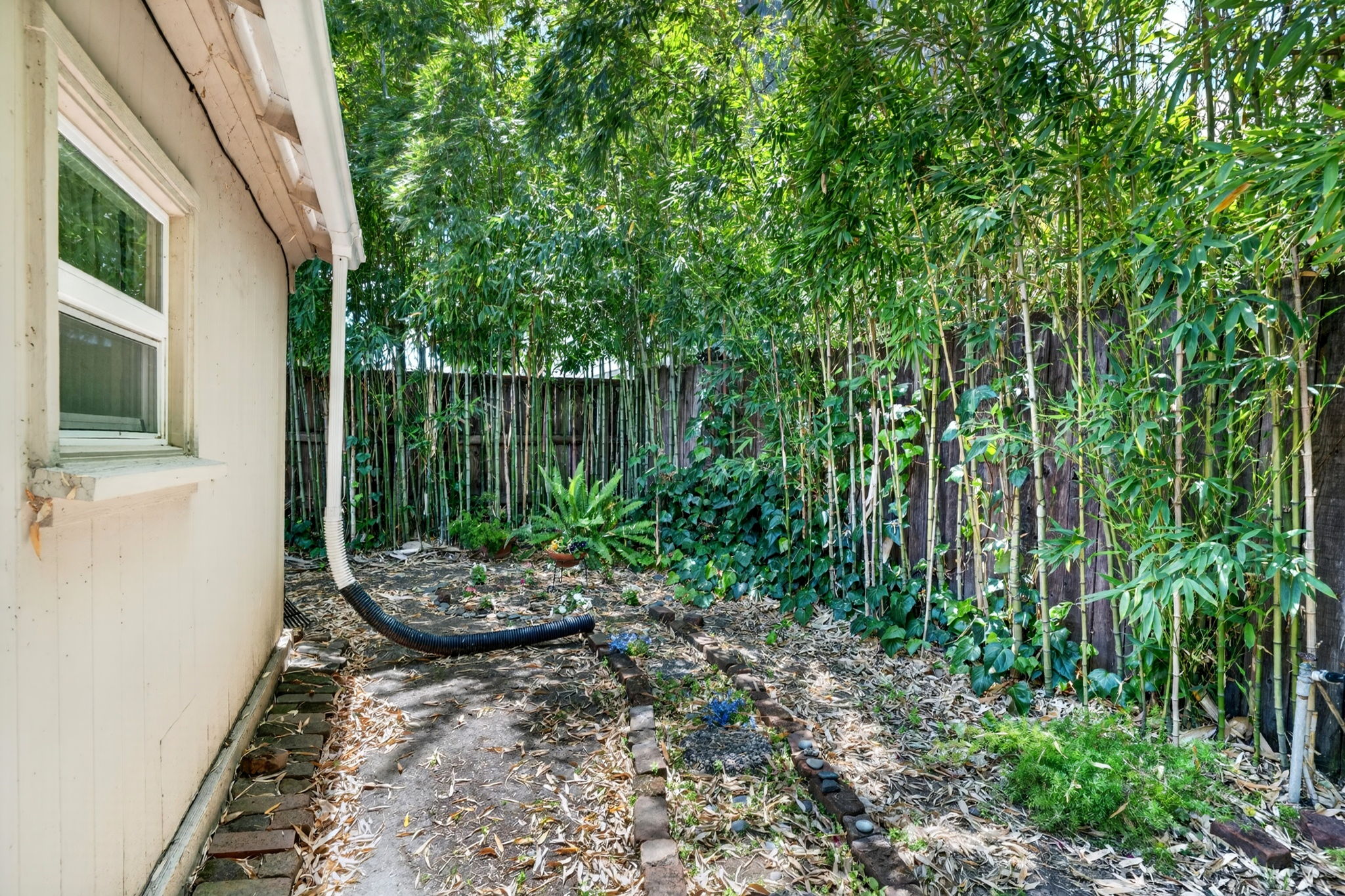 512 Howard St side yard.