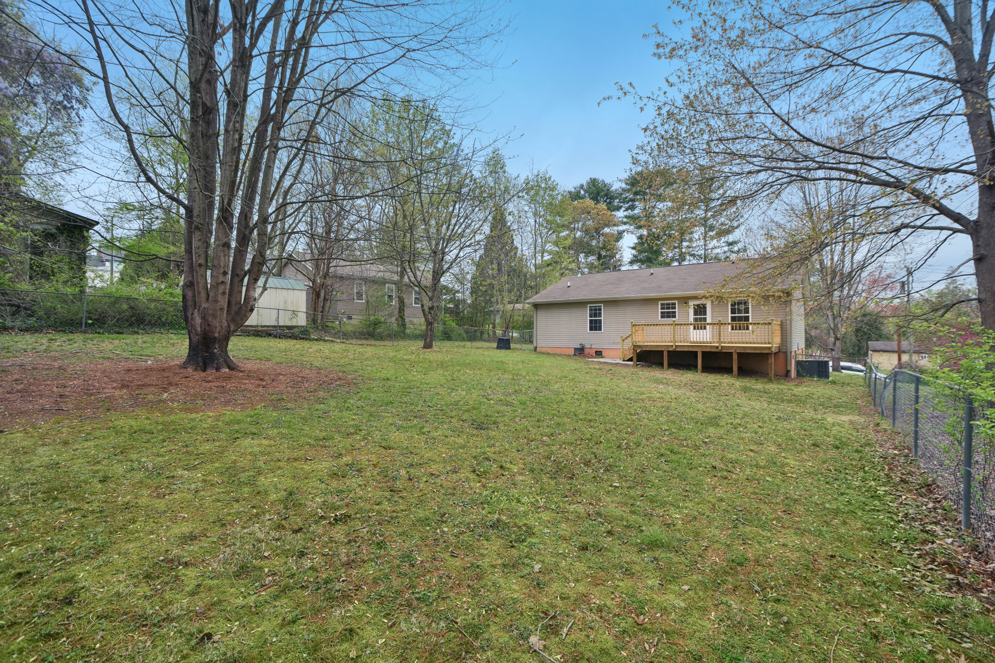 Laurel St-1104-029.jpg