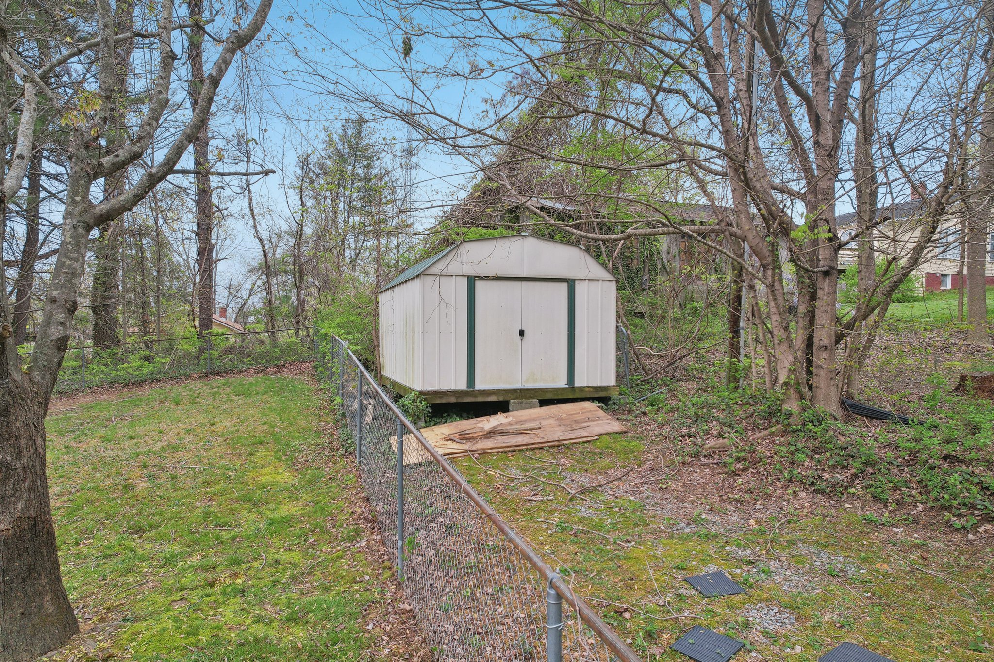 Laurel St-1104-031.jpg