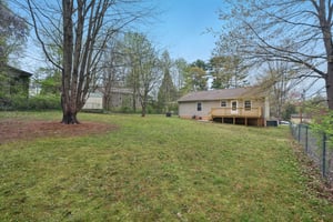 Laurel St-1104-029.jpg