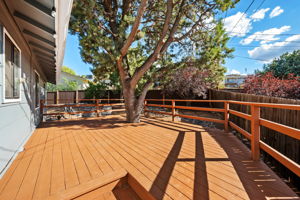 Back Deck