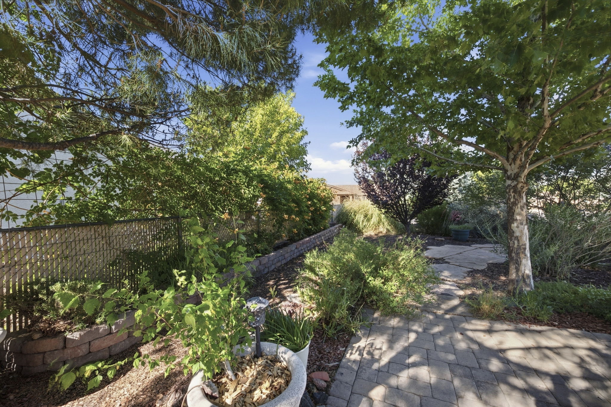 Front Yard 2
