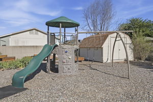 Backyard 2