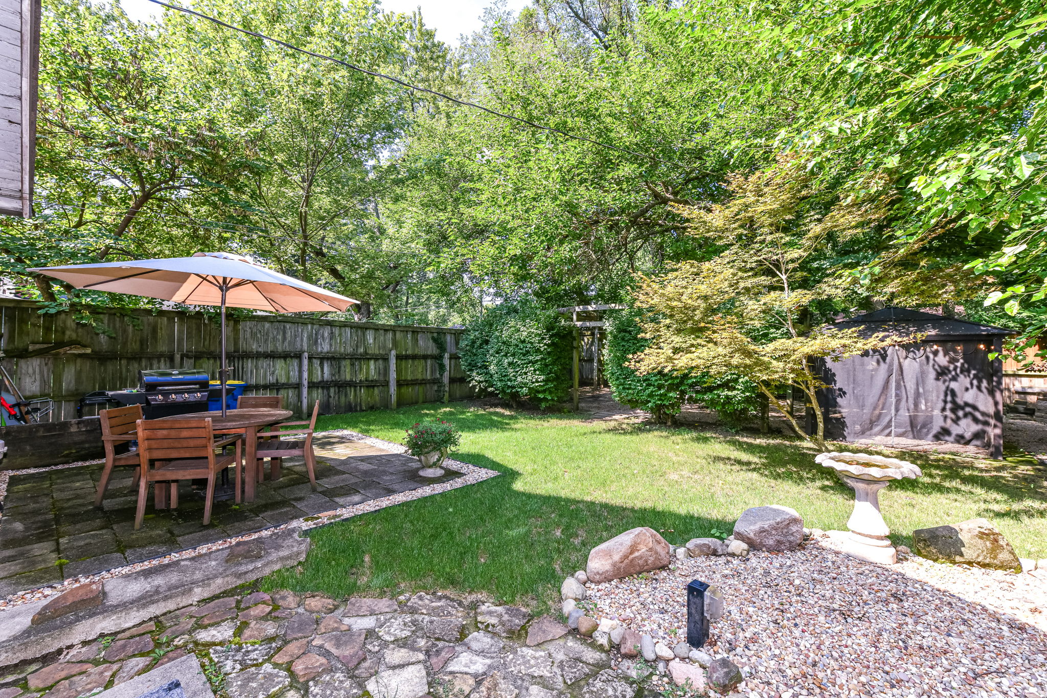 Backyard