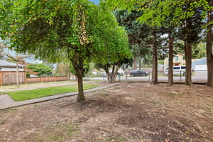 NE 91st Ave-S2309-038.jpg