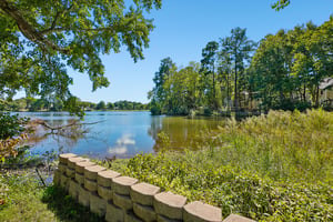 Black Diamond Ct-S1310-046.jpg
