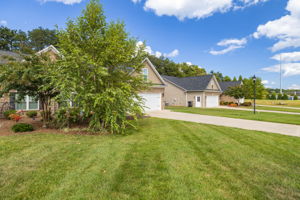 511 Birchwood Dr-4