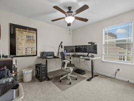  Photo 45