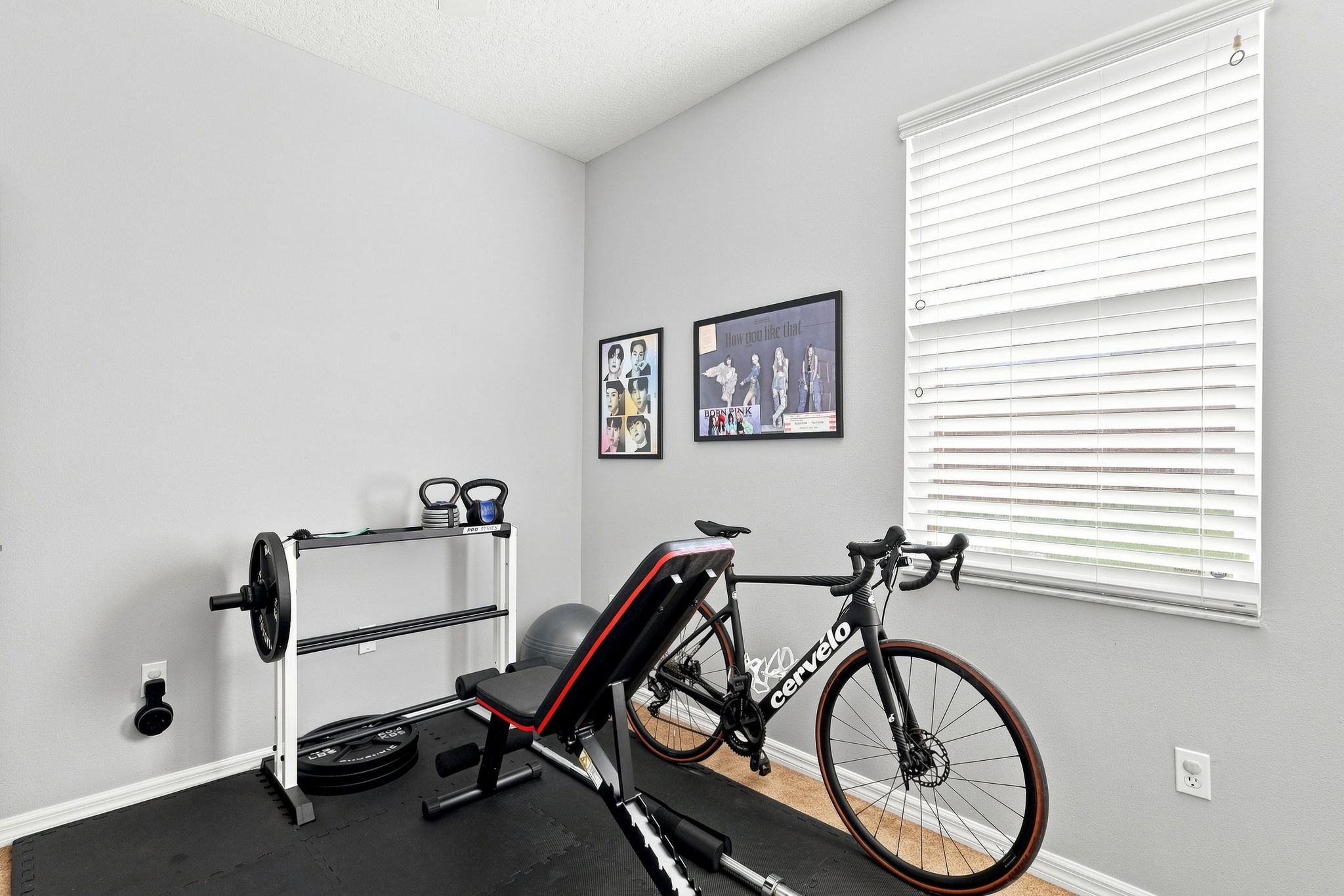  Photo 54