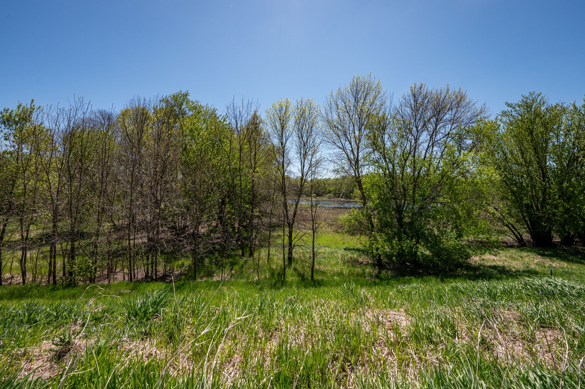  Photo 47