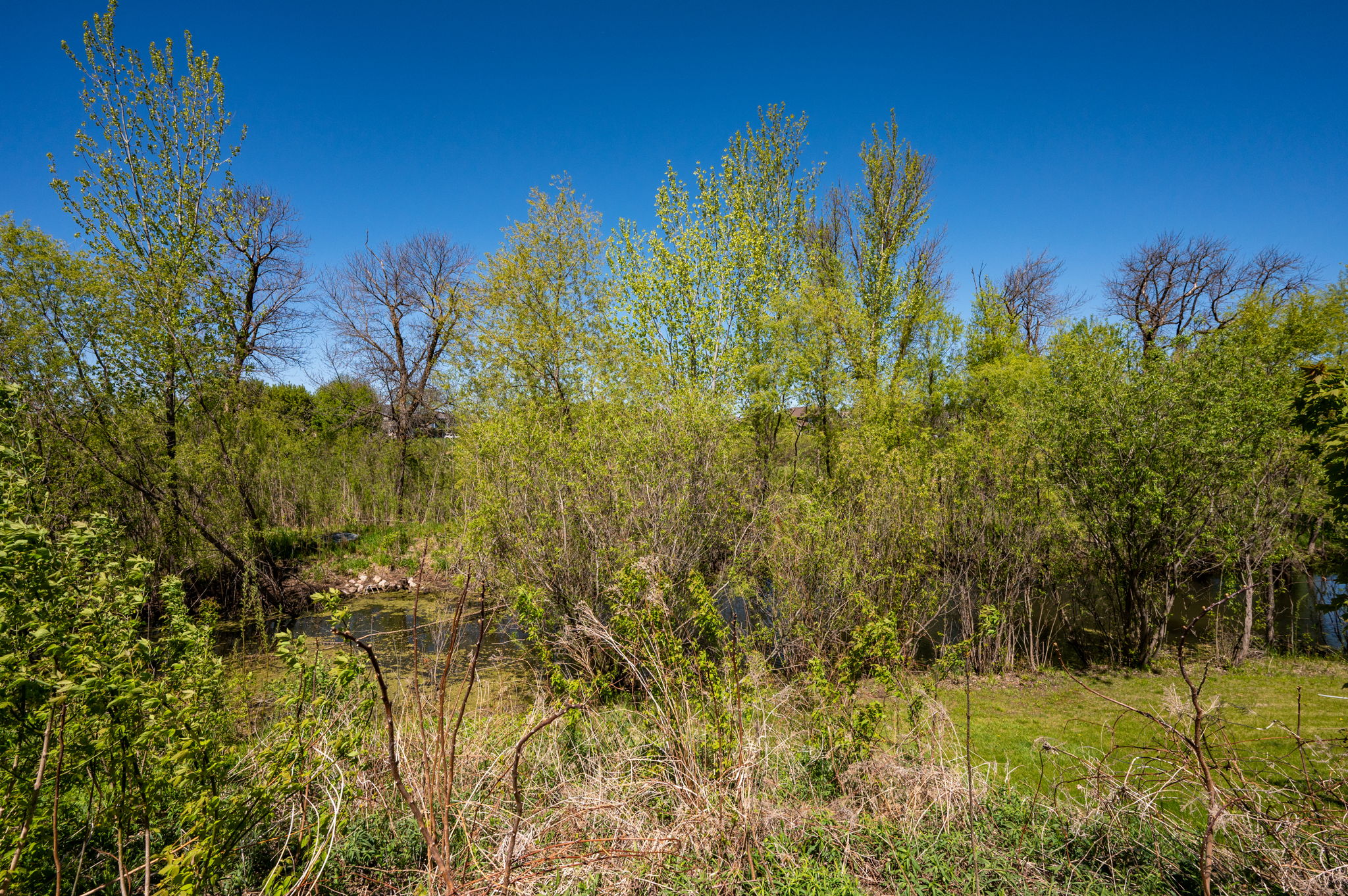  Photo 48